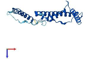 NDUFB10 Protein (AA 1-176) (His tag)