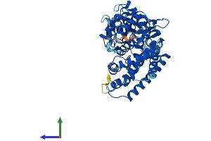 AlphaFold protein structure predicition of Mouse Recombinant Cyp21 Protein, UniprotID P03940