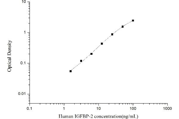IGFBP2 ELISA 试剂盒