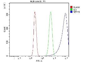 Flow Cytometry analysis of HepG2 cells using anti-REP15 antibody (ABIN7601178). (REP15 抗体  (AA 3-236))