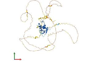 Protein Structure (PS) image for Forkhead Box O6 (Foxo6) (AA 1-492) protein (His tag) (ABIN7547686)