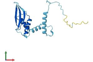 Protein Structure (PS) image for Chromosome 3 Open Reading Frame 34 (C3orf34) (AA 1-163) protein (His tag) (ABIN7553456)