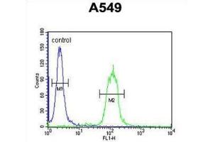 Flow Cytometry (FACS) image for anti-Clusterin (CLU) antibody (ABIN2995931) (Clusterin 抗体)