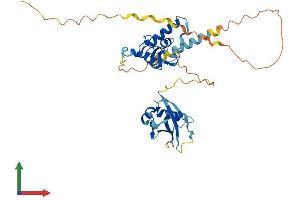 Protein Structure (PS) image for Polycomb Group Ring Finger 6 (PCGF6) (AA 1-353) protein (His tag) (ABIN7560440)