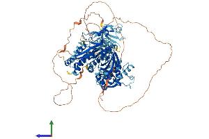 Protein Structure (PS) image for Protein tyrosine Phosphatase, Non-Receptor Type 3 (PTPN3) (AA 1-913) protein (His tag) (ABIN7555087)
