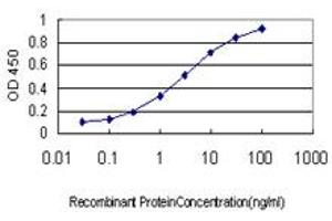 Detection limit for recombinant GST tagged IL1F9 is approximately 0. (IL1F9 抗体  (AA 1-110))