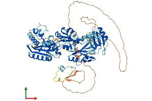Protein Structure (PS) image for Epithelial Splicing Regulatory Protein 2 (ESRP2) (AA 1-717) protein (His tag) (ABIN7564615)