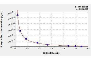 Typical standard curve (Lipocalin 2 ELISA 试剂盒)