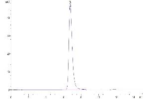 Size-exclusion chromatography-High Pressure Liquid Chromatography (SEC-HPLC) image for Transforming Growth Factor, beta Receptor II (70/80kDa) (TGFBR2) (AA 24-159) protein (mFc-Avi Tag) (ABIN7275717)