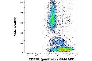 Flow cytometry surface staining pattern of human peripheral whole blood stained using anti-human CD99R (MEM-131) purified antibody (concentration in sample 0,6 μg/mL, GAM APC).