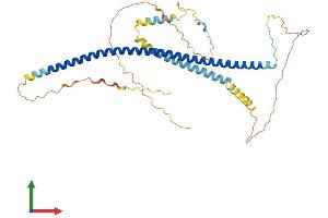 Protein Structure (PS) image for Polymerase I and Transcript Release Factor (PTRF) (AA 1-390) protein (His tag) (ABIN7551075)