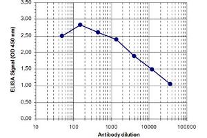 ELISA was performed using a serial dilution of MBD4 polyclonal antibody  in antigen coated wells. (MBD4 抗体)