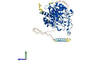 Protein Structure (PS) image for Mannosidase, Endo-alpha (MANEA) (AA 1-462) protein (His tag) (ABIN7549178)