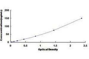 Mannan-Binding Lectin Serine Peptidase 1 (MASP1) ELISA Kit
