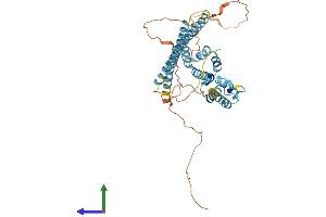 AlphaFold protein structure predicition of Mouse Recombinant Arc Protein, UniprotID Q9WV31