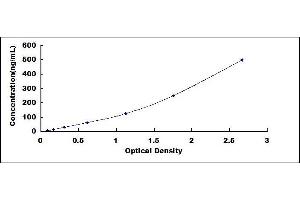 Typical standard curve
