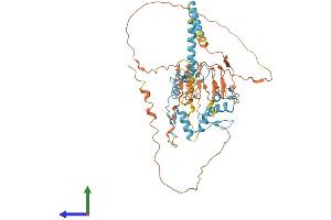 AlphaFold protein structure predicition of Human Recombinant VEZF1 Protein, UniprotID Q14119