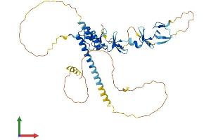AlphaFold protein structure predicition of Human Recombinant LMX1B Protein, UniprotID O60663