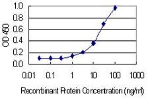 Detection limit for recombinant GST tagged PANX2 is 0. (Pannexin 2 抗体  (AA 133-219))