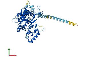 Protein Structure (PS) image for UDP-GlcNAc:betaGal beta-1,3-N-Acetylglucosaminyltransferase 5 (B3GNT5) (AA 1-376) protein (His tag) (ABIN7558594)