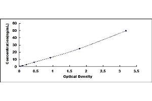 Typical standard curve (PARP1 ELISA 试剂盒)