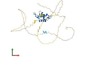 Protein Structure (PS) image for Forkhead Box A3 (FOXA3) (AA 1-353) protein (His tag) (ABIN7563181)