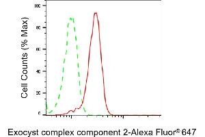 Flow cytometric analysis of Exocyst complex component 2 expression in HepG2 cells using Exocyst complex component 2 antibody (ABIN7798542), 1:2,000). (Recombinant EXOC2 抗体)