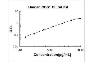 Carboxylesterase 1 (CES1) ELISA Kit