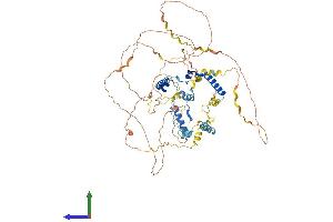 AlphaFold protein structure predicition of Human Recombinant PHACTR4 Protein, UniprotID Q8IZ21 (PHACTR4 Protein (AA 1-702) (His tag))