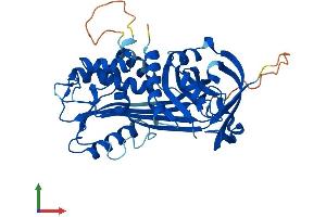 Protein Structure (PS) image for serpin Peptidase Inhibitor, Clade B (Ovalbumin), Member 4 (SERPINB4) (AA 1-390) protein (His tag) (ABIN7546339)