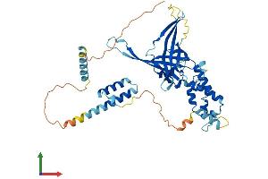 Protein Structure (PS) image for F-Box Protein 9 (FBXO9) (AA 1-437) protein (His tag) (ABIN7564376)