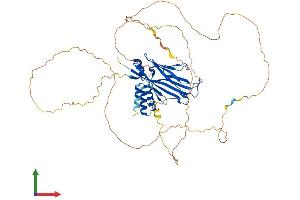Protein Structure (PS) image for MLLT1, super elongation complex subunit (MLLT1) (AA 1-559) protein (His tag) (ABIN7547325)