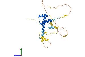 Protein Structure (PS) image for NK3 Homeobox 1 (NKX3-1) (AA 1-234) protein (His tag) (ABIN7549769)
