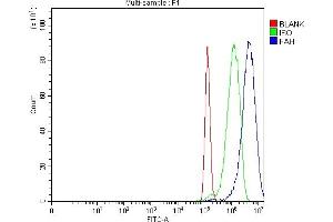 Flow Cytometry analysis of PC-3 cells using anti-FAA/FAH antibody (ABIN7599291).