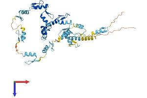 AlphaFold protein structure predicition of Human Recombinant ZNF672 Protein, UniprotID Q499Z4