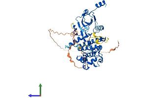 Protein Structure (PS) image for Cyclin-Dependent Kinase 8 (CDK8) (AA 1-464) protein (His tag) (ABIN7564701)
