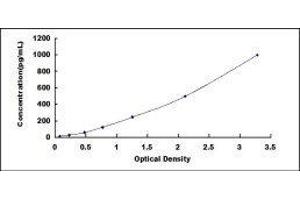 Typical standard curve (GDF11 ELISA 试剂盒)