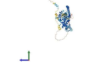 Protein Structure (PS) image for GLE1 RNA Export Mediator (GLE1) (AA 1-699) protein (His tag) (ABIN7559720)