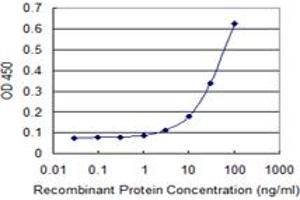 Detection limit for recombinant GST tagged NME6 is 1 ng/ml as a capture antibody. (NME6 抗体  (AA 1-194))