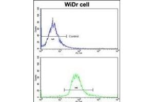 Flow cytometric analysis of widr cells using GLO1 Antibody (N-term)(bottom histogram) compared to a negative control cell (top histogram)FITC-conjugated goat-anti-rabbit secondary antibodies were used for the analysis.