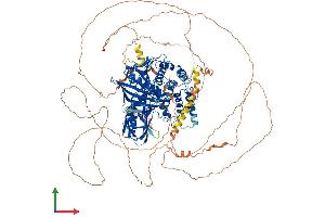 Protein Structure (PS) image for Protein tyrosine Phosphatase, Non-Receptor Type 14 (PTPN14) (AA 1-1187) protein (His tag) (ABIN7555093)