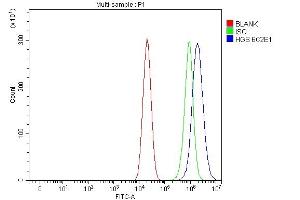 Flow Cytometry analysis of Caco-2 cells using anti-HGS antibody (ABIN7601207).