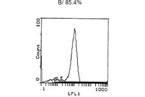 Image no. 2 for anti-CD3 (CD3) antibody (ABIN114137) (CD3 抗体)