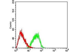 Flow cytometric analysis of HL-60 cells using EHMT2 mouse mAb (green) and negative control (red).