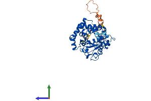 AlphaFold protein structure predicition of Human Recombinant TTPAL Protein, UniprotID Q9BTX7 (TTPAL Protein (AA 1-342) (His tag))