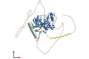 Protein Structure (PS) image for SFRS Protein Kinase 2 (SRPK2) (AA 1-688) protein (His tag) (ABIN7555628)