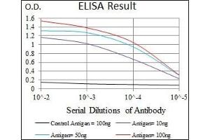 Red: Control Antigen (100 ng), Purple: Antigen (10 ng), Green: Antigen (50 ng), Blue: Antigen (100 ng), (PPP2CB 抗体)