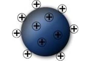 Image no. 1 for MagSi-WAX beads (ABIN1721148)