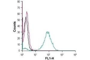 Cell surface detection of GPR55 in live intact human THP-1 monocytic leukemia cells: (black line) Cells. (GPR55 抗体  (Extracellular))