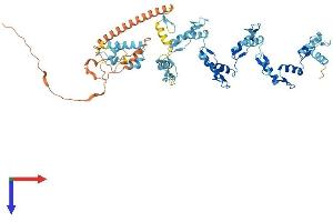 AlphaFold protein structure predicition of Human Recombinant ZNF273 Protein, UniprotID Q14593